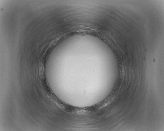 X0000085760228200703160911