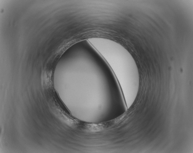 X0000085760239200703160911