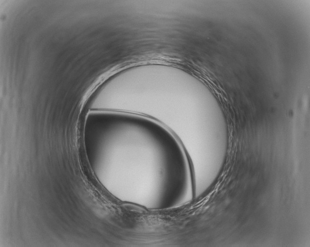 X0000085760244200703160910