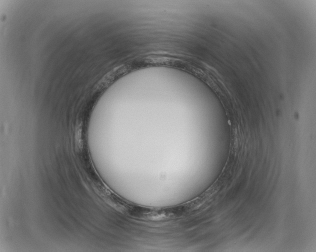 X0000085760267200703160911
