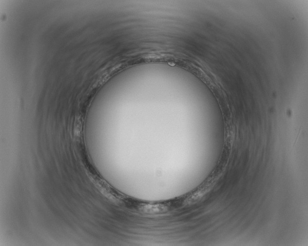 X0000085760277200703160911