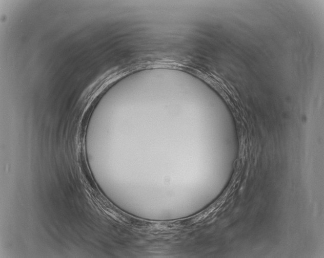X0000085760290200703160910