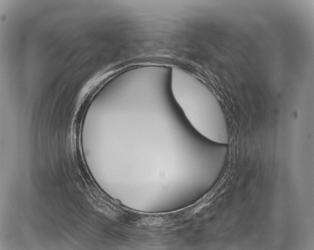X0000085760294200703160910