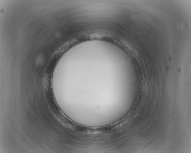 X0000085760311200703160910