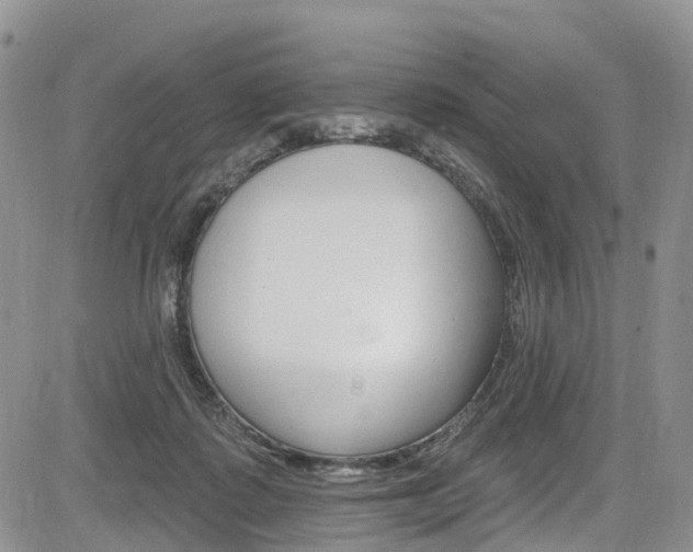 X0000085760315200703160910