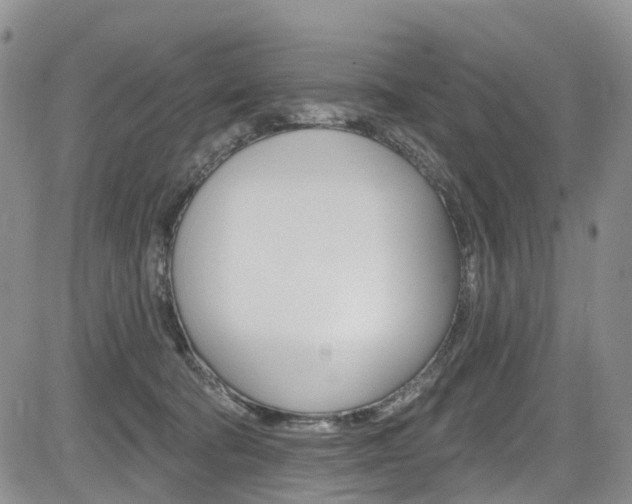 X0000085760322200703160910