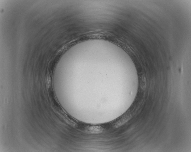 X0000085760324200703160910
