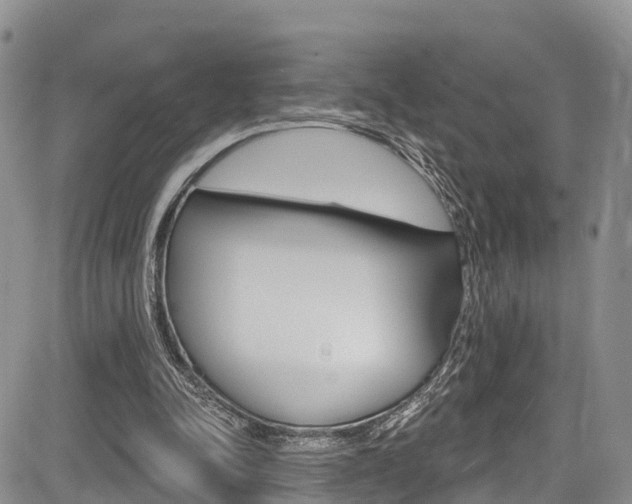 X0000085760342200703160909