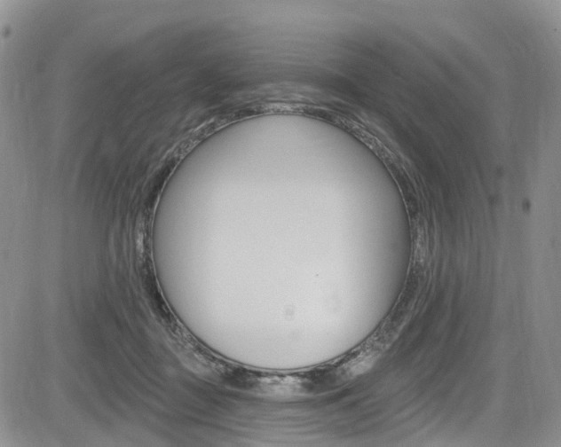 X0000085760363200703160909