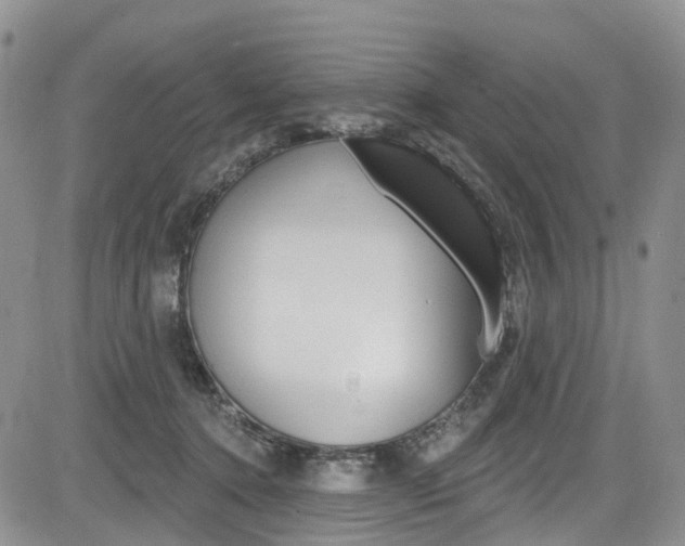 X0000085760368200703160909