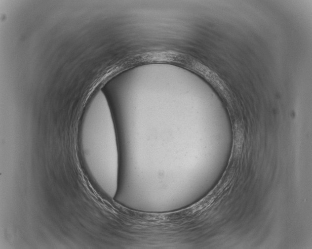 X0000085760386200703160909