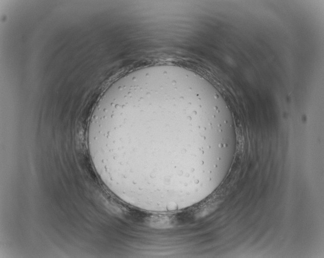 X0000085760418200703160908