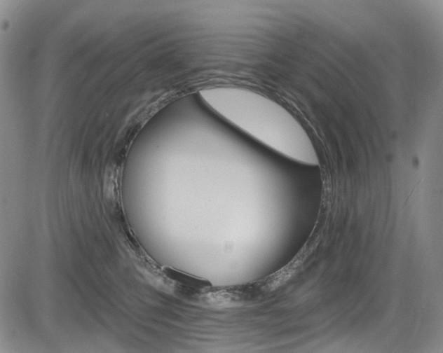 X0000085760423200703160908