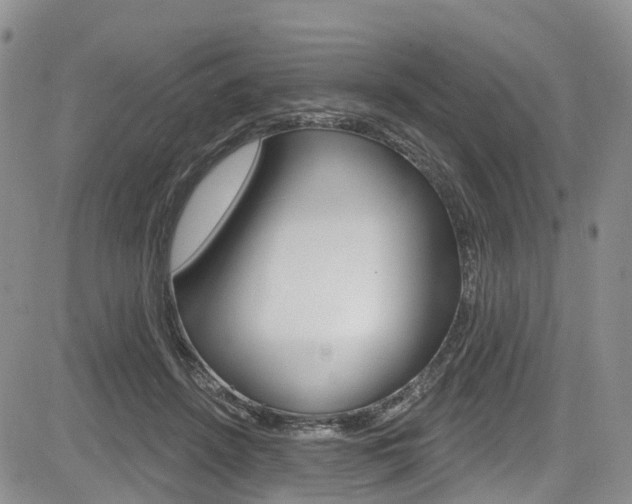 X0000085760456200703160908