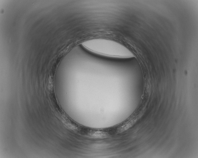 X0000085760467200703160908