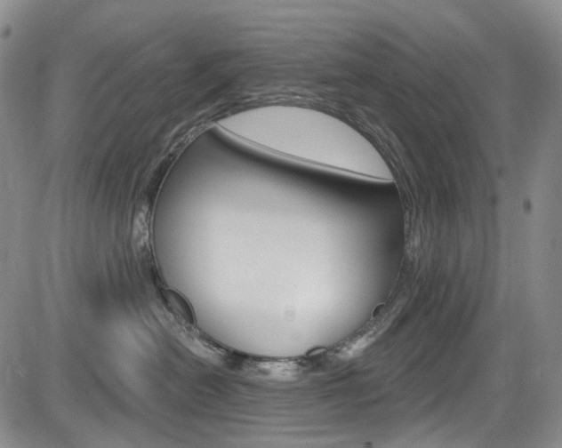 X0000085760478200703160908