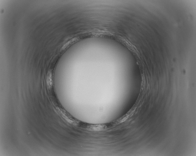 X0000085760479200703160908