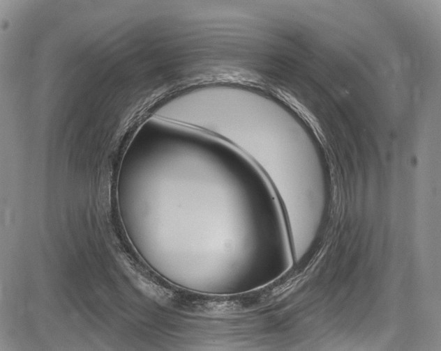X0000085760493200703160907