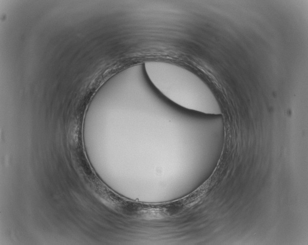 X0000085760499200703160907