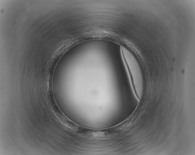 X0000085760501200703160907