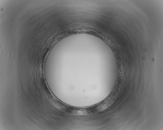 X0000085760506200703160907