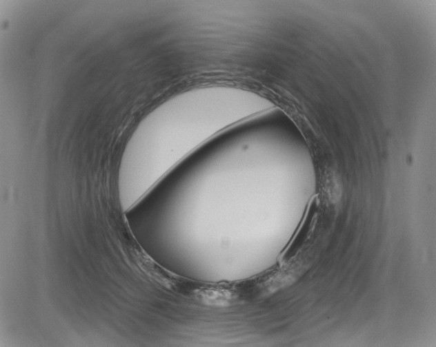 X0000085760512200703160907