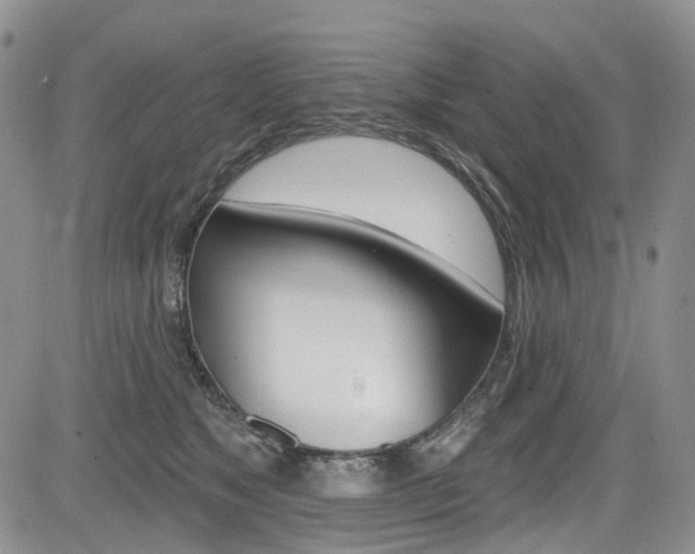 X0000085760517200703160907