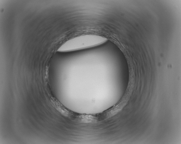 X0000085760528200703160906