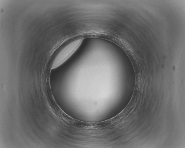 X0000085760544200703160906
