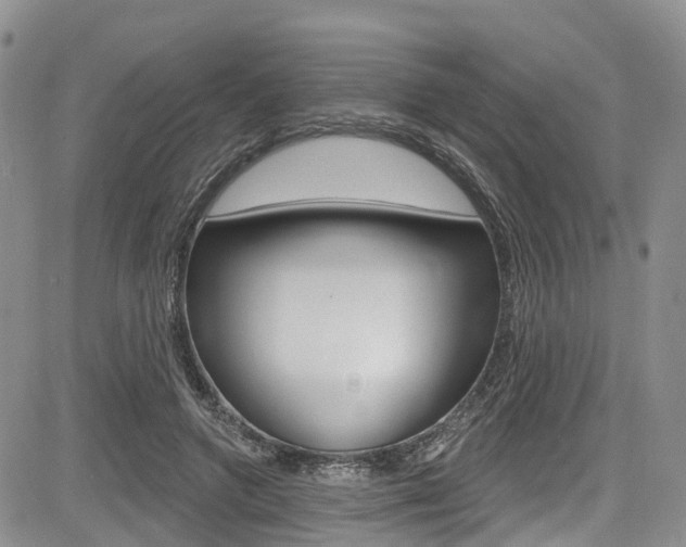 X0000085760546200703160906