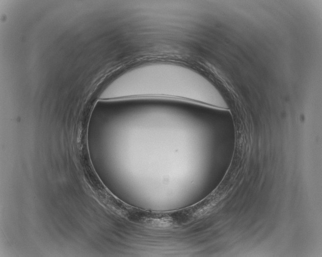 X0000085760548200703160906