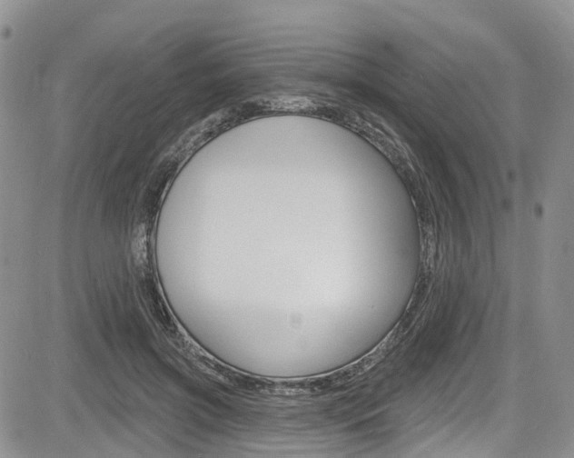 X0000085760549200703160906