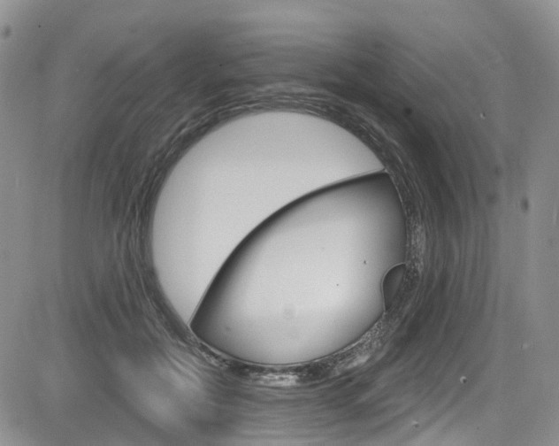 X0000085760554200703160906