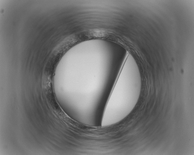 X0000085760555200703160906