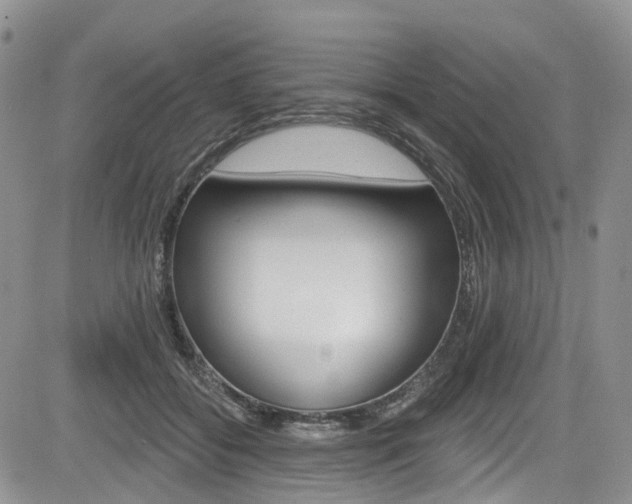 X0000085760556200703160906