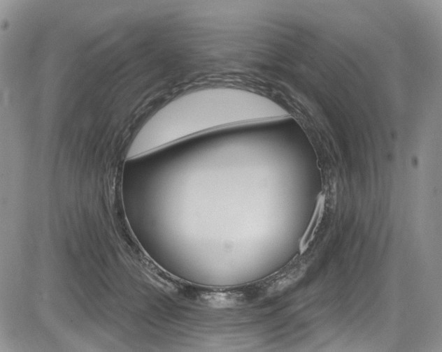 X0000085760558200703160906