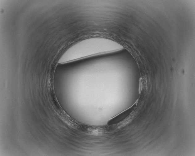 X0000085760564200703160906