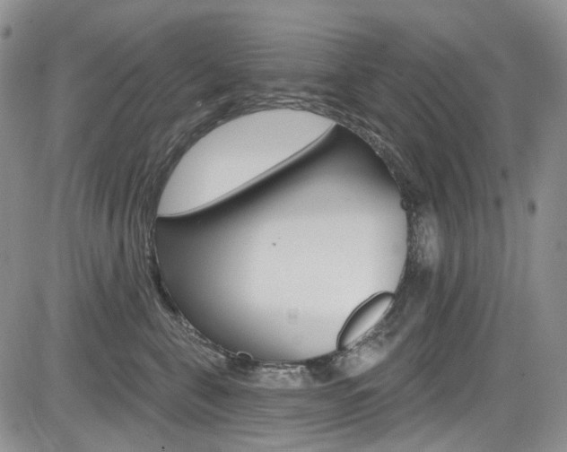 X0000085760571200703160906