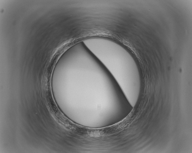 X0000085760587200703160905