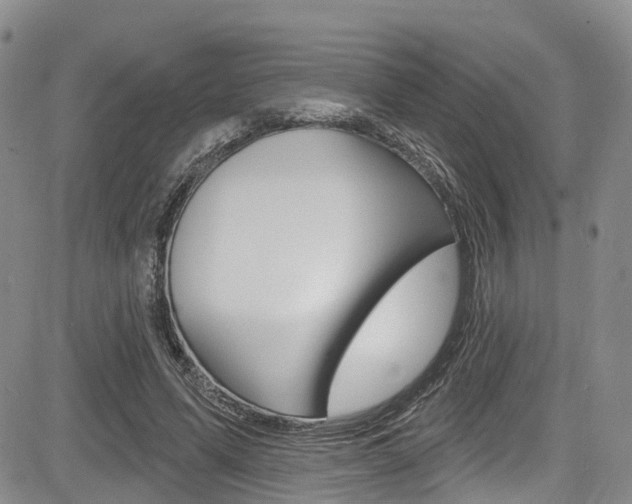 X0000085760591200703160905