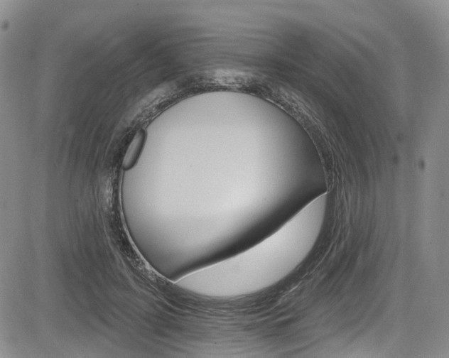 X0000085760595200703160905