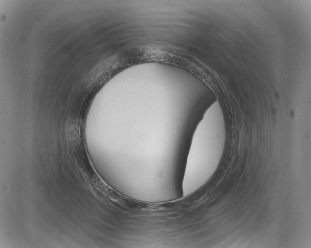 X0000085760603200703160905