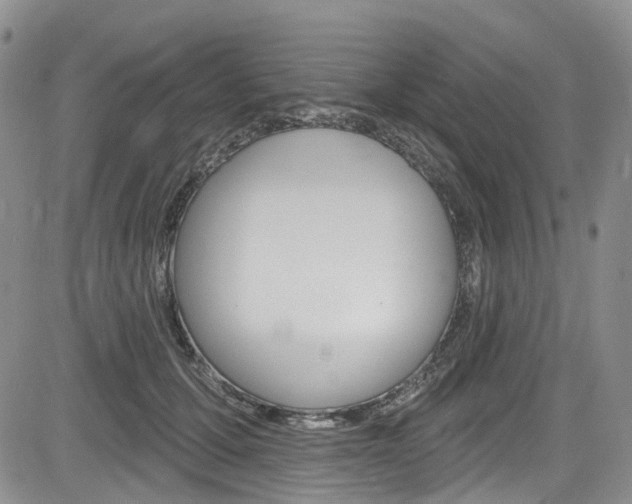 X0000085760607200703160905