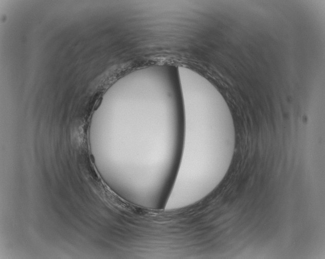 X0000085760611200703160905