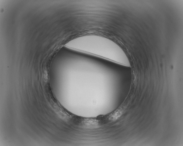 X0000085760617200703160905