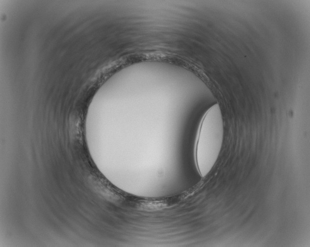 X0000085760619200703160905