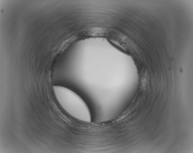 X0000085760620200703160905