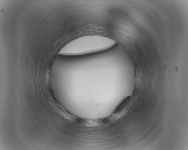 X0000085760623200703160905