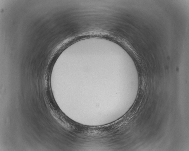X0000085760632200703160904