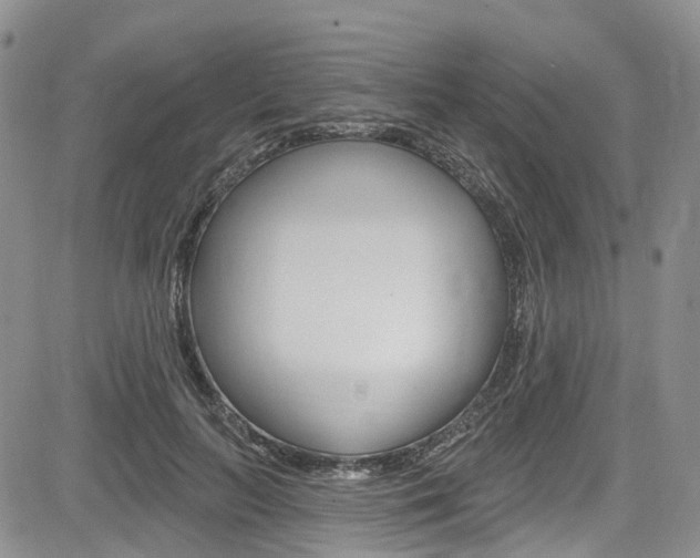 X0000085760647200703160904